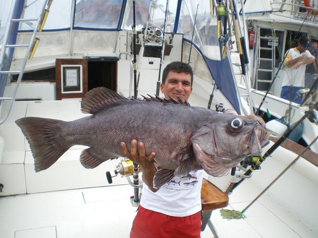 03/04 Wreckfish Cavalier & Blue Marlin Sport Fishing Gran Canaria