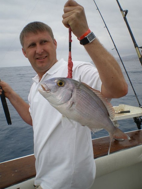 Red Snapper Cavalier & Blue Marlin Sport Fishing Gran Canaria