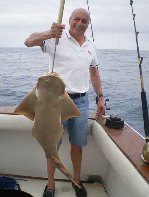 Angelshark Cavalier & Blue Marlin Sport Fishing Gran Canaria
