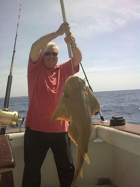 Angelshark Cavalier & Blue Marlin Sport Fishing Gran Canaria