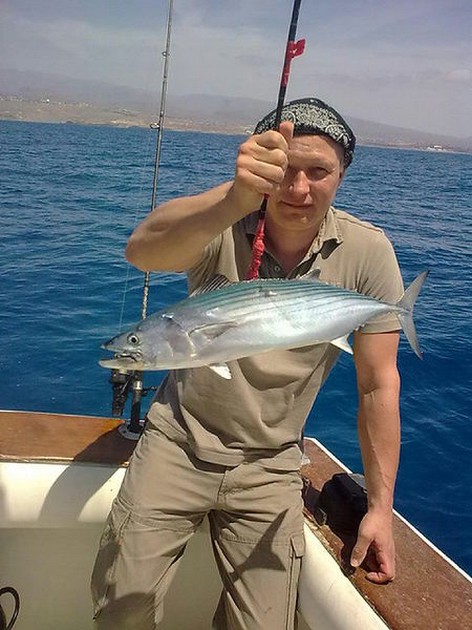 Atlantic Bonito Cavalier & Blue Marlin Sport Fishing Gran Canaria
