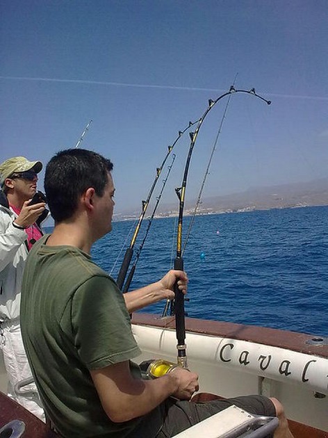 hooked up Cavalier & Blue Marlin Sport Fishing Gran Canaria