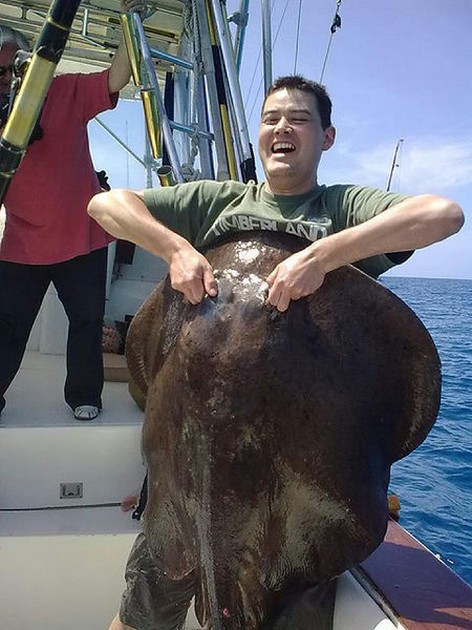 Roughtail Stingray Cavalier & Blue Marlin Sport Fishing Gran Canaria