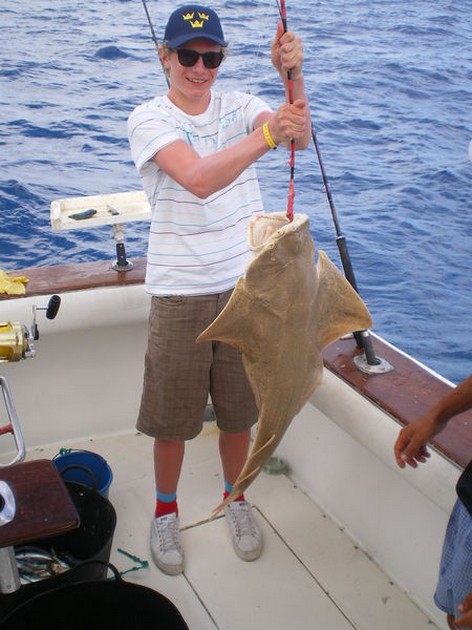 Roughtail Stingray Cavalier & Blue Marlin Sport Fishing Gran Canaria