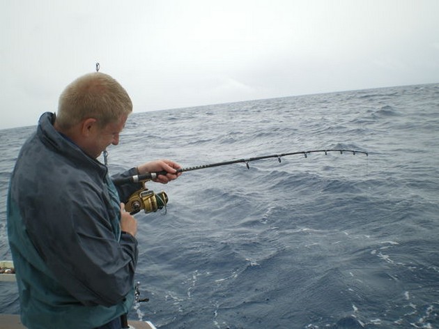ATLANTIC BONITO I dag är båtarna CAVALIER och - Cavalier & Blue Marlin Sport Fishing Gran Canaria