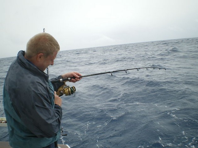 ATLANTISCHE BONITO`S<br><br>Vandaag hadden we een redelijke - Cavalier & Blue Marlin Sport Fishing Gran Canaria