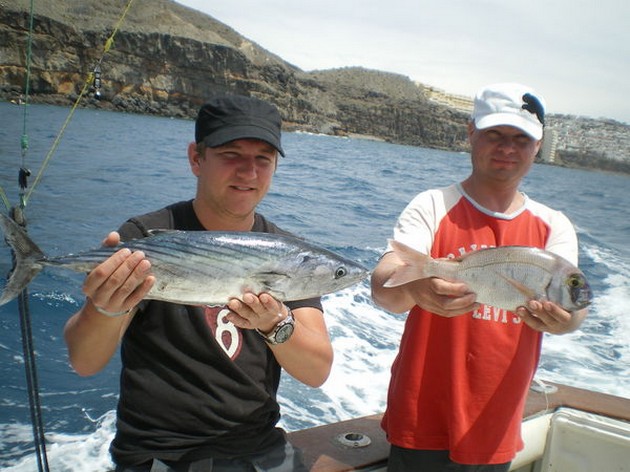 bonito - snapper Cavalier & Blue Marlin Sport Fishing Gran Canaria