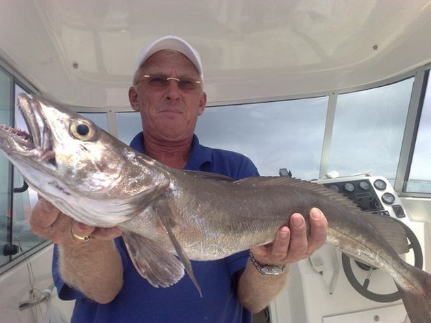 Hake European Cavalier & Blue Marlin Sport Fishing Gran Canaria