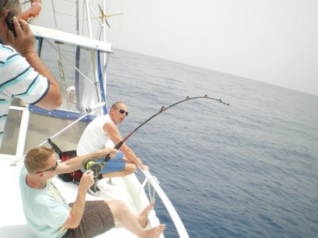 HAMERHAAI<br><br>We vingen het beestje dan wel niet, maar - Cavalier & Blue Marlin Sport Fishing Gran Canaria