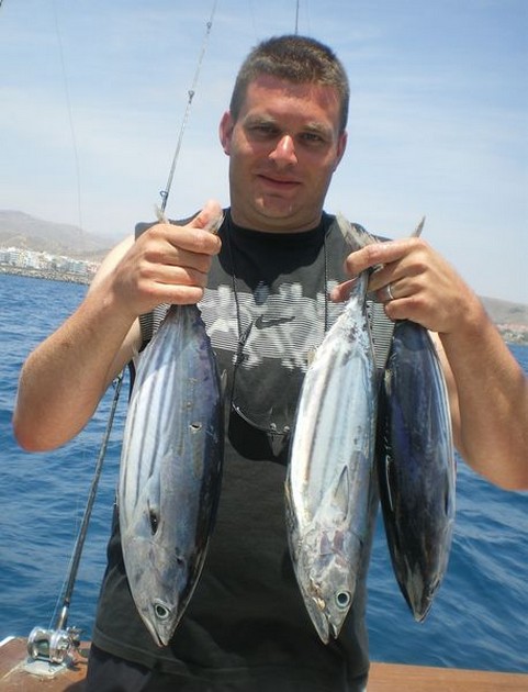 Skipjack Tuna Cavalier & Blue Marlin Sport Fishing Gran Canaria