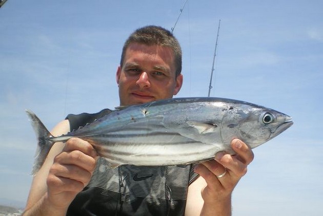 Skipjack Tuna Cavalier & Blue Marlin Sport Fishing Gran Canaria