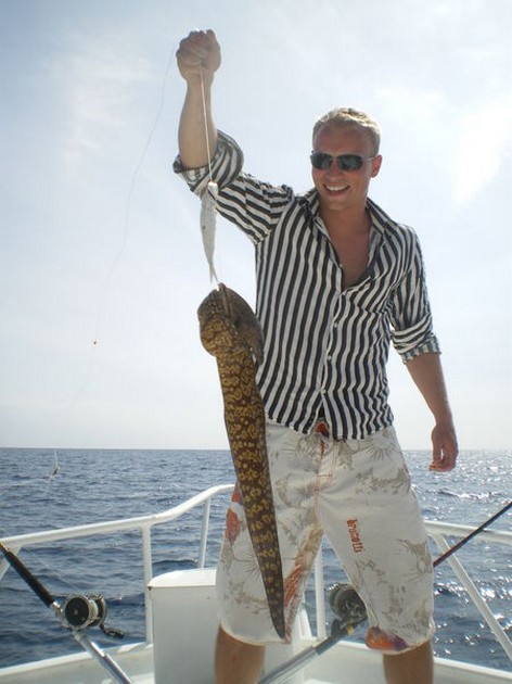 Tiger Moray Cavalier & Blue Marlin Sport Fishing Gran Canaria