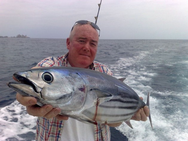 Skipjack Tuna Cavalier & Blue Marlin Sport Fishing Gran Canaria