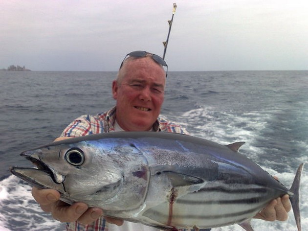 SKIPJACK TONIJN<br><br>Ook vandaag werden er op zowel de - Cavalier & Blue Marlin Sport Fishing Gran Canaria