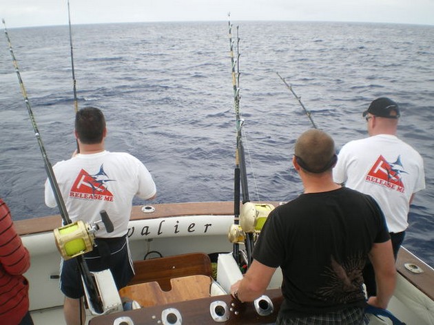 SLEPEND VISSEN<br><br>Gisteren werd er dor de CAVALIER slepend - Cavalier & Blue Marlin Sport Fishing Gran Canaria