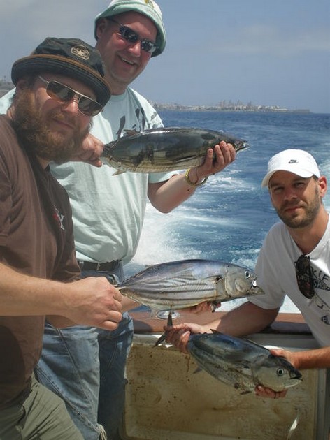 Skipjack Tunas Cavalier & Blue Marlin Sport Fishing Gran Canaria