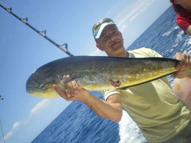 Dorado Cavalier & Blue Marlin Sport Fishing Gran Canaria