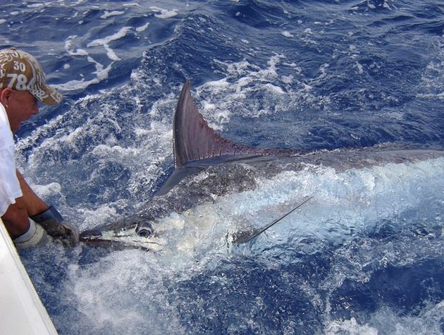 25/05 Blue Marlin Cavalier & Blue Marlin Sport Fishing Gran Canaria