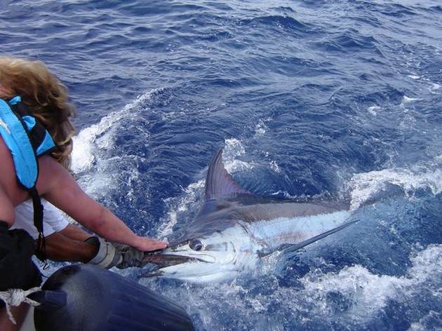  - Cavalier & Blue Marlin Sport Fishing Gran Canaria