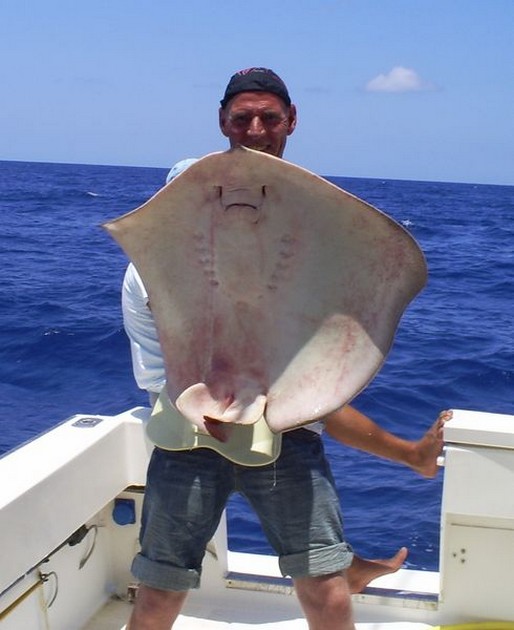 Common Stingray Cavalier & Blue Marlin Sport Fishing Gran Canaria