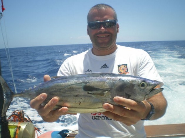 VEEL SKIPJACK TONIJN<br><br>Zowel de CAVALIER als de EXPLORAMAR - Cavalier & Blue Marlin Sport Fishing Gran Canaria