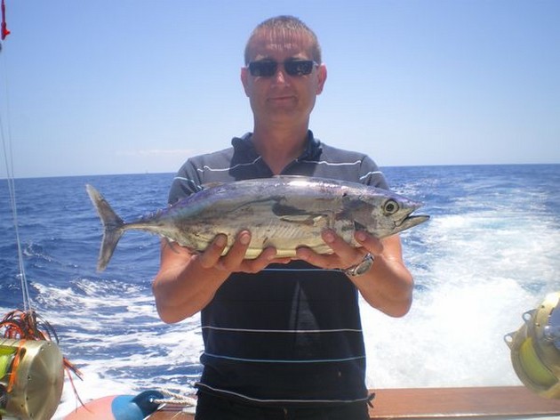 Skipjack Tuna Cavalier & Blue Marlin Sport Fishing Gran Canaria
