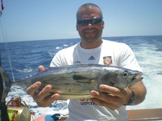Skipjack Tuna Cavalier & Blue Marlin Sport Fishing Gran Canaria