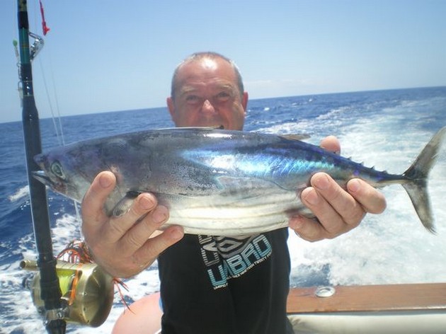 Skipjack Tuna Cavalier & Blue Marlin Sport Fishing Gran Canaria