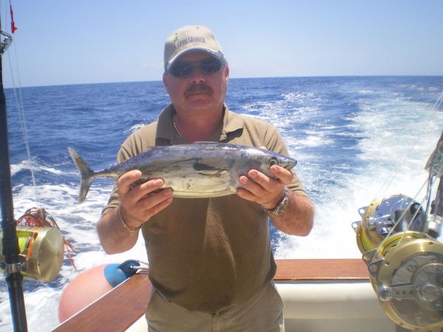 Skipjack Tuna Cavalier & Blue Marlin Sport Fishing Gran Canaria