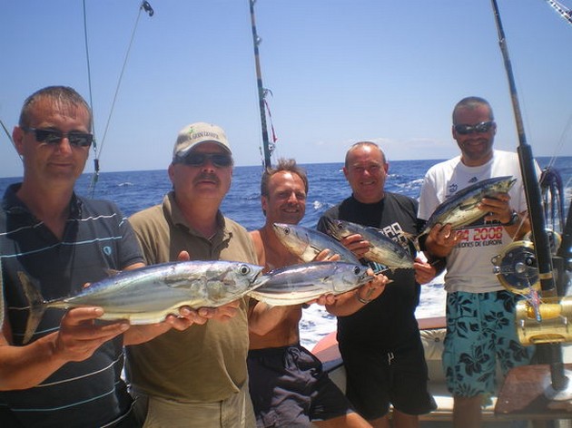 Skipjack Tuna Cavalier & Blue Marlin Sport Fishing Gran Canaria