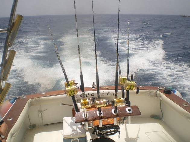 VEEL SKIPJACK TONIJN<br><br>Ook vandaag moesten we het doen - Cavalier & Blue Marlin Sport Fishing Gran Canaria