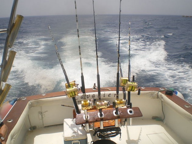  - Cavalier & Blue Marlin Sport Fishing Gran Canaria