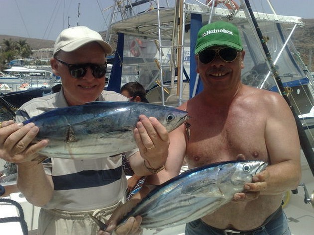Skipjack Tuna Cavalier & Blue Marlin Sport Fishing Gran Canaria