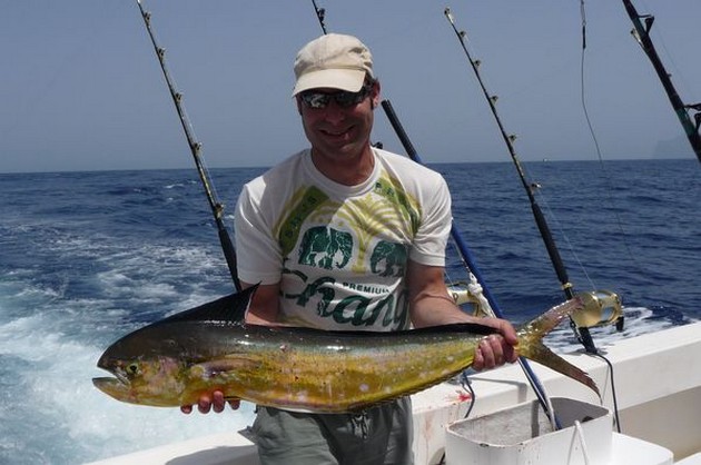 Dorado Cavalier & Blue Marlin Sport Fishing Gran Canaria