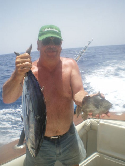 Skipjack Tuna Cavalier & Blue Marlin Sport Fishing Gran Canaria