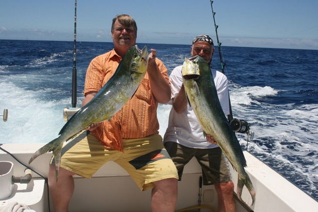 Dorado's Cavalier & Blue Marlin Sport Fishing Gran Canaria