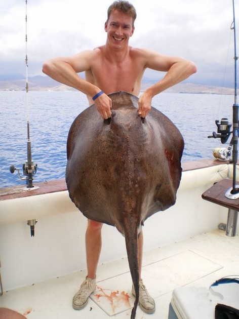 Roughtail Stingray Cavalier & Blue Marlin Sport Fishing Gran Canaria