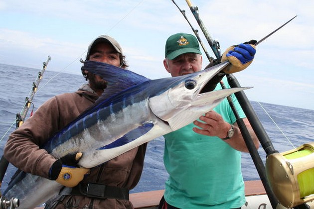 11/06 White Marlin - White Marlin released on the boat Cavalier Cavalier & Blue Marlin Sport Fishing Gran Canaria