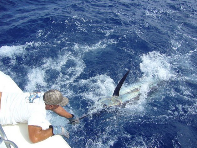 Tag & Release Cavalier & Blue Marlin Sport Fishing Gran Canaria