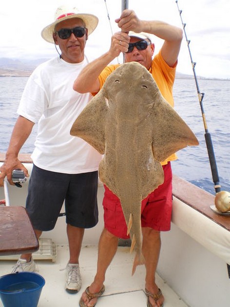 Anngel Shark or Monk Fish Cavalier & Blue Marlin Sport Fishing Gran Canaria