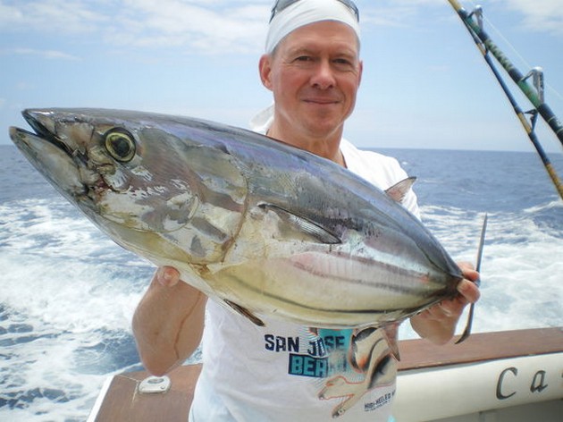Skipjack Tuna Cavalier & Blue Marlin Sport Fishing Gran Canaria