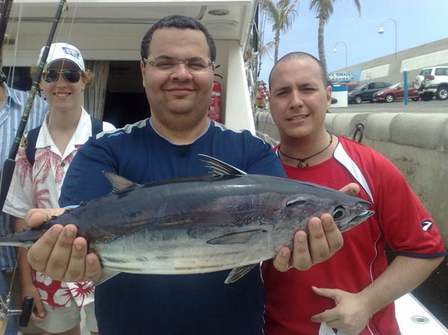 Skipjack Tuna Cavalier & Blue Marlin Sport Fishing Gran Canaria