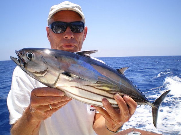 Skipjack Tuna Cavalier & Blue Marlin Sport Fishing Gran Canaria