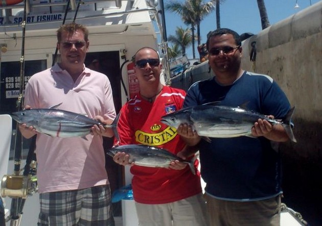 Skipjack Tunas Cavalier & Blue Marlin Sport Fishing Gran Canaria