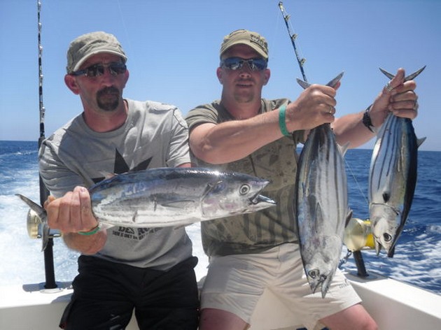 23/06 Skipjack Tunas Cavalier & Blue Marlin Sport Fishing Gran Canaria