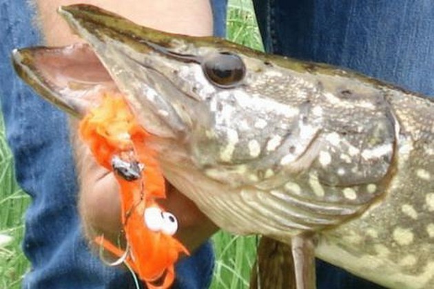  - Cavalier & Blue Marlin Sport Fishing Gran Canaria