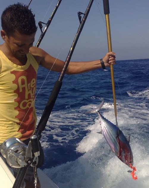BEESIE - 2 Cavalier & Blue Marlin Sport Fishing Gran Canaria