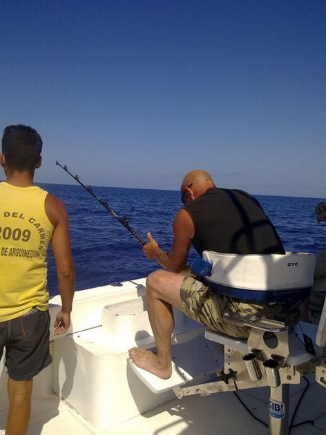 hook up Cavalier & Blue Marlin Sport Fishing Gran Canaria