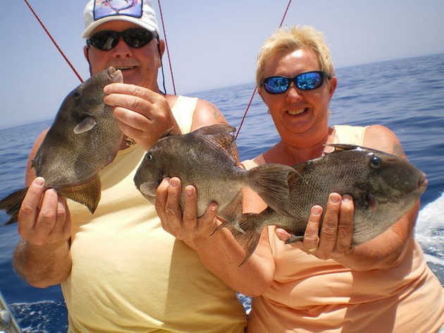 Skipjack Tunas - Cavalier & Blue Marlin Sport Fishing Gran Canaria