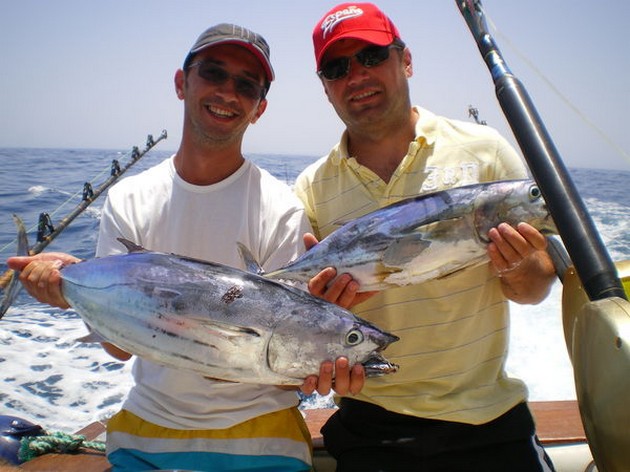 13/07 Skipjack Tunas Cavalier & Blue Marlin Sport Fishing Gran Canaria